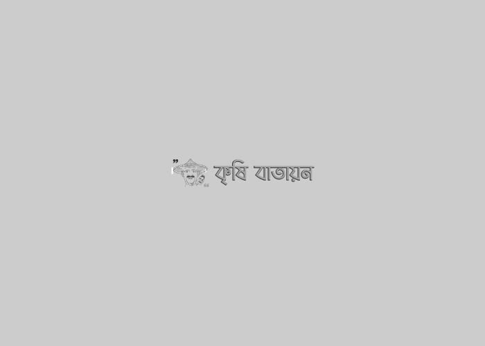 NATP প্রকল্প অনুসরন করে গুলিসা ব্লকের কৃষকদের সফলতার বিবরন।